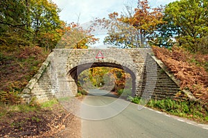 Lush looking autumn landscape in the English countryside.