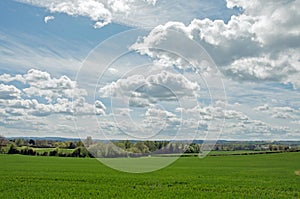 Lush looking landscape in the English countryside.