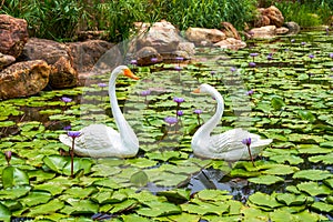 Lush lotus leaves and two swan statues in the lotus pond in the park