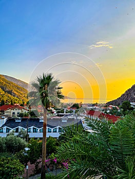 Lush mountaineous seaside town before sunset with paragliders photo