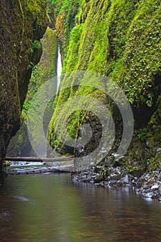 Lush narrow canyon waterfall