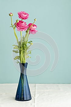 Lush natural light old Dutch Delft blue lidded vase with pink ranunculus on white linen against a blue background