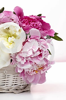 Lush peonies in white basket