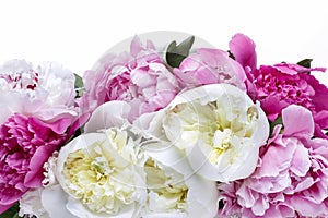 Lush peonies in white basket