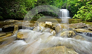 Lush Rain Forest Waterfall