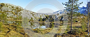 Lush rocky wilderness with greenery of wild grass and trees surrounding a pond with a blue sky copy space background