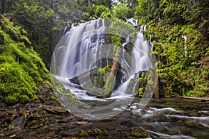 Lush and Silky National Creek Falls