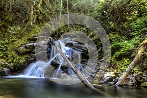 Lush snow creek falls.