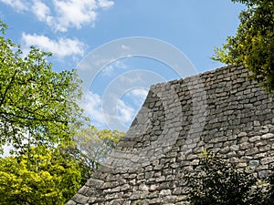 Lush springtime greenery at the walls of Marugame castle