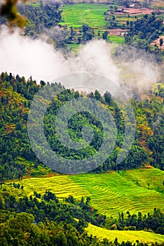 Lush Tibetan landscape