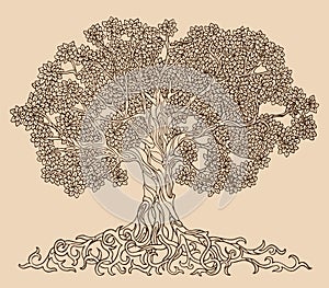 Lush tree drawing vector. A family tree with many leaves, branches and roots
