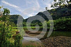 Lush Tropical River and Mountains photo