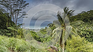 Lush tropical vegetation covers the hills - green grass, bushes, palm trees