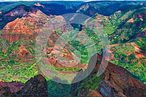 Lush, tropical Waimea Canyon on Kuai.