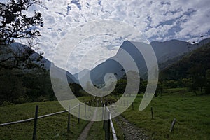 Lush vegetation along the trail to the Cocora Valley, Valle de Cocora, close to Salento, Eje Cafetero, Colombia photo