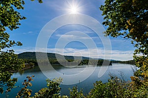 Lush Vegetation Around Raystown Lake, in Pennsylvania During Sum