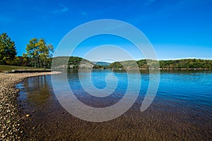 Lush Vegetation Around Raystown Lake, in Pennsylvania During Sum