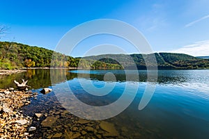 Lush Vegetation Around Raystown Lake, in Pennsylvania During Sum