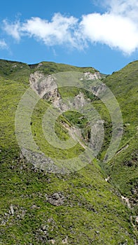 Lush vegetation on a mountain