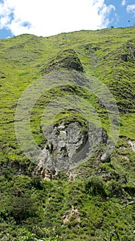 Lush vegetation on a mountain