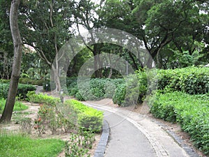 The lush Victoria park, Hong Kong