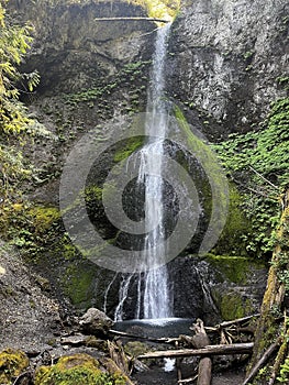 Lush waterfall in the Pacific Northwest