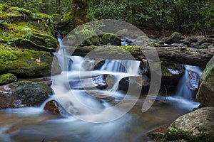 Lush waterfall in South Carolina