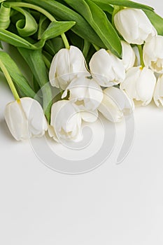 Lush White Tulips with Vivid Green Leaves. Greeting Postcard