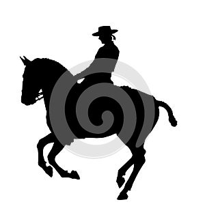 Lusitano Horse silhouette ~