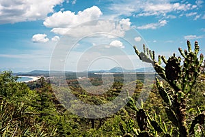 Lussich Botanical Park and the Solana Beach in Punta del Este photo