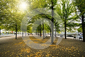 The Lustgarden park alongside the Spree River in autumn at Berlin Germany