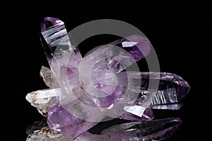 Lustrous Amethyst Crystals from Las Vigas de RamÃ­rez
