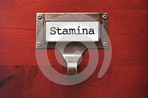 Lustrous Wooden Cabinet with Stamina File Label photo