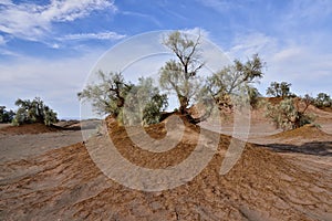 The Lut Desert locate near Kerman, Iran