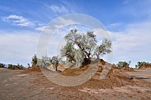 The Lut Desert locate near Kerman, Iran