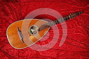 Lute instrument