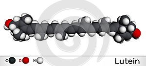 Lutein, xanthophyll molecule. It is type of carotenoid, food additive E161b. Molecular model