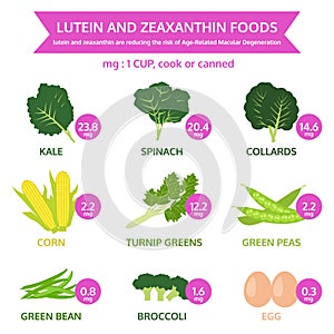 lutein and zeaxanthin foods, info graphic food, fruit and vegetable icon vector