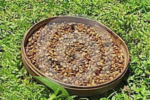 Luwak coffee in the basket