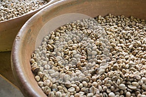 Luwak Coffee Beans