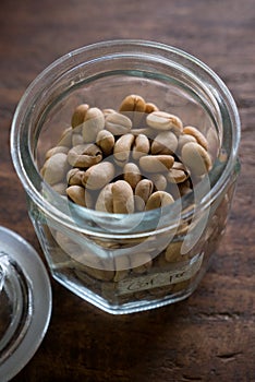 Luwak Coffee Beans