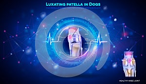 Luxating patella in dogs