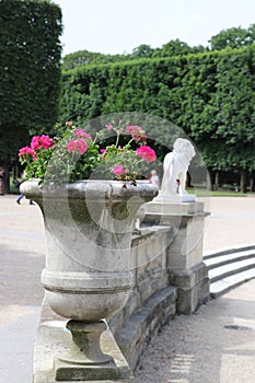 Luxemberg garden