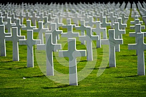 Luxembourg American Cemetery & Memorial crosses