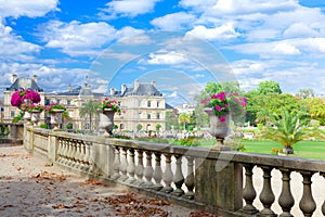 Luxembourg Garden photo