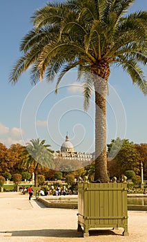 Luxembourg Garden in Paris