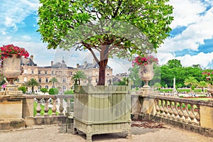 Luxembourg Palace and park in Paris