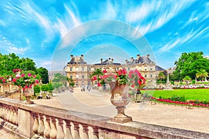 Luxembourg Palace and park in Paris .