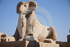Luxor egypt photo