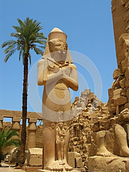 Luxor: giant statue of Ramses II in Karnak temple